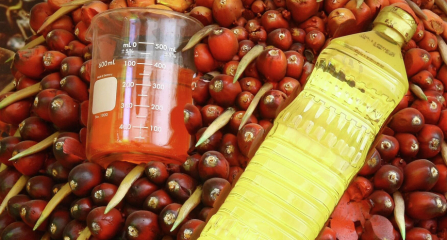 Запрет на пальмовое масло и прочие вредные добавки