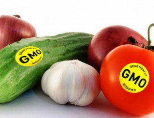 Рассматривается проект закона о создании реестра ГМО 
