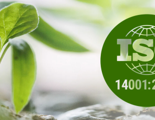 В чем отличие ISO 14001 от сертификата ЭКО?